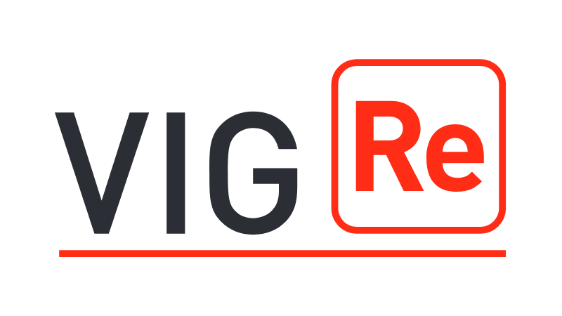 Logo VIG Re